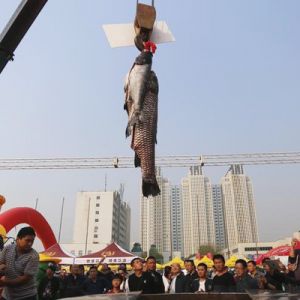 ���ݬF(xi��n)�����~�硱 ���ؙC����161���~�����