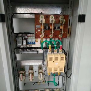 2017010165 QZ10T--12m  �{���