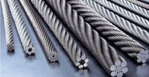 �������ؙC(j��)䓽z�K���x�Ø�(bi��o)��(zh��n)���Ďחl��