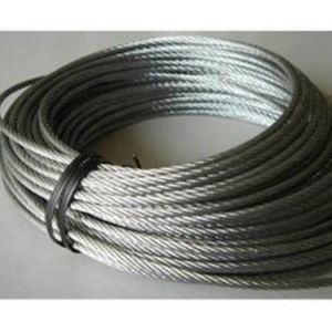 ���ؙC(j��)�����z�y(c��)��ע�����(xi��ng)